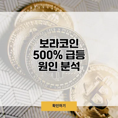보라코인 500% 급등 원인 분석