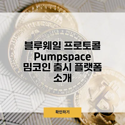 블루웨일 프로토콜 Pumpspace 밈코인 출시 플랫폼 소개