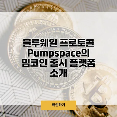 블루웨일 프로토콜 Pumpspace의 밈코인 출시 플랫폼 소개