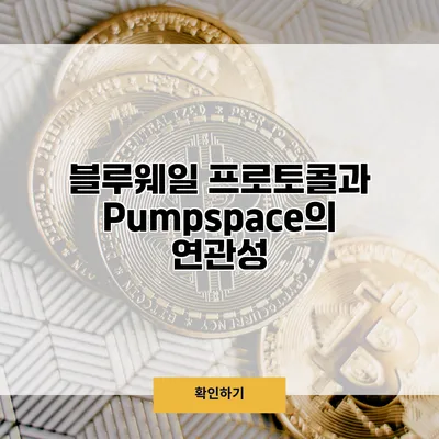 블루웨일 프로토콜과 Pumpspace의 연관성