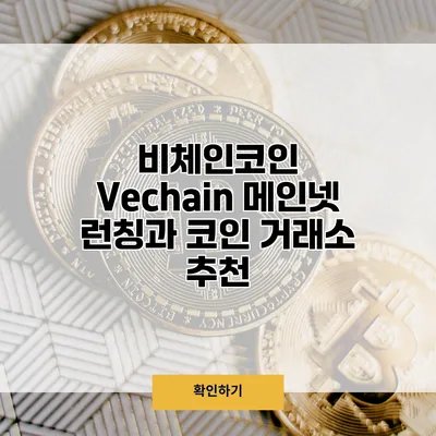 비체인코인 Vechain 메인넷 런칭과 코인 거래소 추천