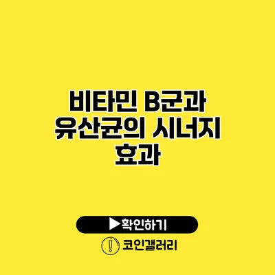 비타민 B군과 유산균의 시너지 효과