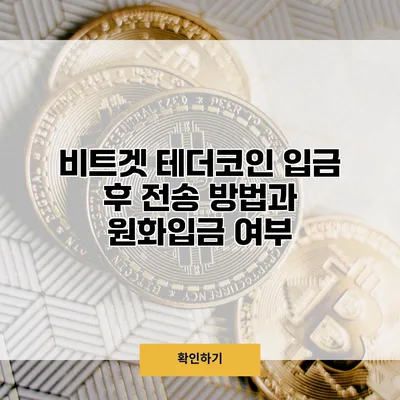 비트겟 테더코인 입금 후 전송 방법과 원화입금 여부