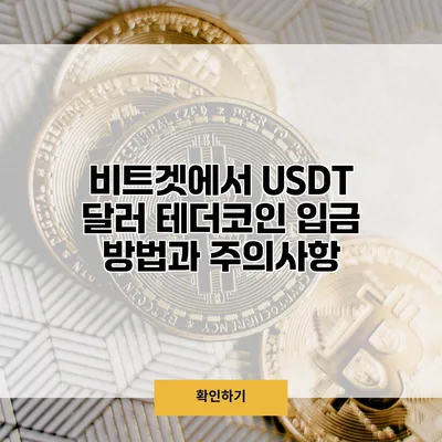 비트겟에서 USDT 달러 테더코인 입금 방법과 주의사항
