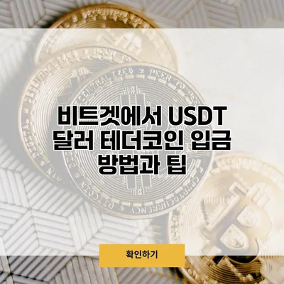 비트겟에서 USDT 달러 테더코인 입금 방법과 팁