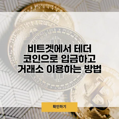 비트겟에서 테더 코인으로 입금하고 거래소 이용하는 방법