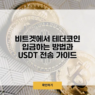 비트겟에서 테더코인 입금하는 방법과 USDT 전송 가이드