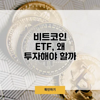 비트코인 ETF, 왜 투자해야 할까?