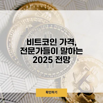 비트코인 가격, 전문가들이 말하는 2025 전망