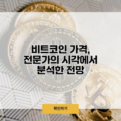 비트코인 가격, 전문가의 시각에서 분석한 전망