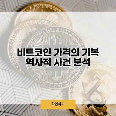 비트코인 가격의 기복 역사적 사건 분석