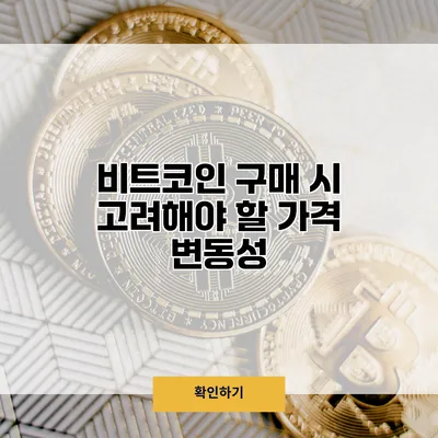 비트코인 구매 시 고려해야 할 가격 변동성