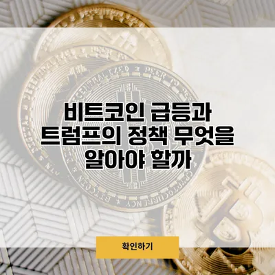 비트코인 급등과 트럼프의 정책 무엇을 알아야 할까?