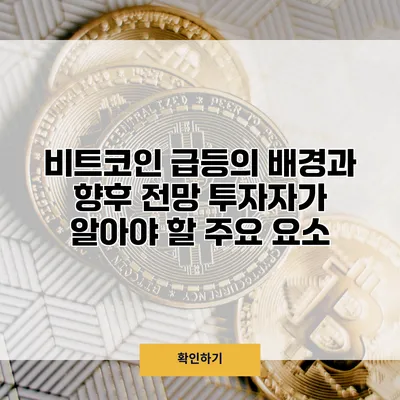 비트코인 급등의 배경과 향후 전망 투자자가 알아야 할 주요 요소