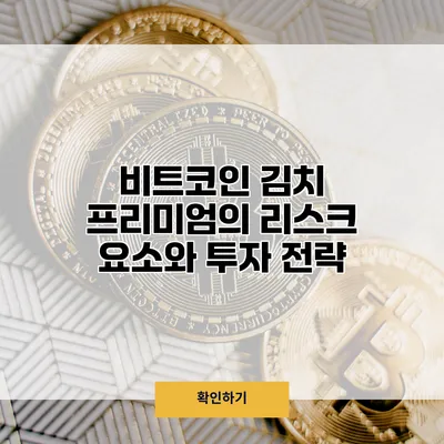 비트코인 김치 프리미엄의 리스크 요소와 투자 전략