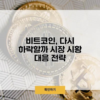 비트코인, 다시 하락할까? 시장 시황 대응 전략