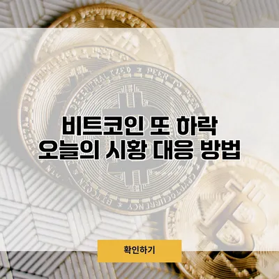 비트코인 또 하락? 오늘의 시황 대응 방법