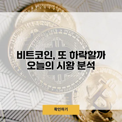 비트코인, 또 하락할까? 오늘의 시황 분석