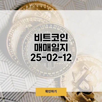 비트코인 매매일지 25-02-12