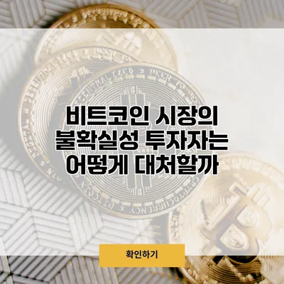 비트코인 시장의 불확실성 투자자는 어떻게 대처할까?