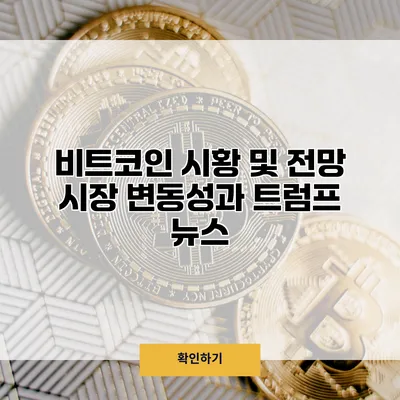 비트코인 시황 및 전망 시장 변동성과 트럼프 뉴스