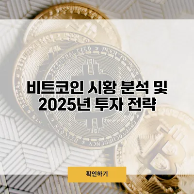 비트코인 시황 분석 및 2025년 투자 전략