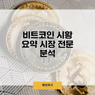 비트코인 시황 요약 시장 전문 분석
