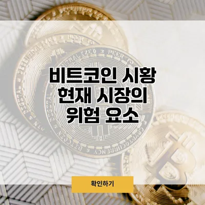 비트코인 시황 현재 시장의 위험 요소
