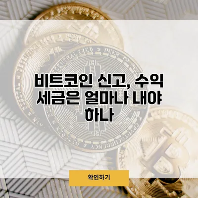 비트코인 신고, 수익 세금은 얼마나 내야 하나?