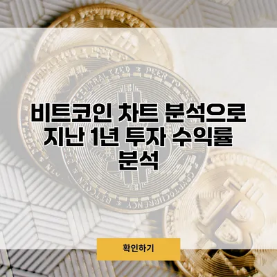비트코인 차트 분석으로 지난 1년 투자 수익률 분석
