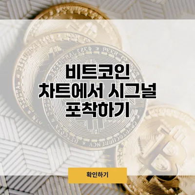 비트코인 차트에서 시그널 포착하기