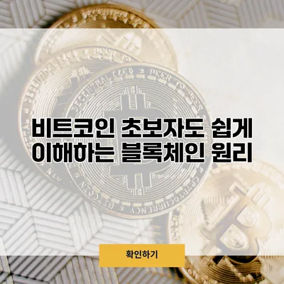 비트코인 초보자도 쉽게 이해하는 블록체인 원리