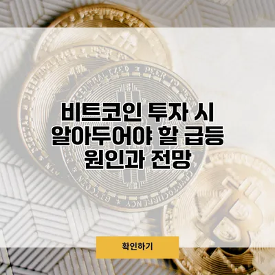 비트코인 투자 시 알아두어야 할 급등 원인과 전망