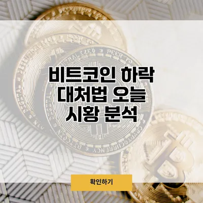 비트코인 하락 대처법 오늘 시황 분석