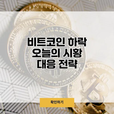 비트코인 하락? 오늘의 시황 대응 전략