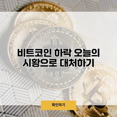 비트코인 하락? 오늘의 시황으로 대처하기