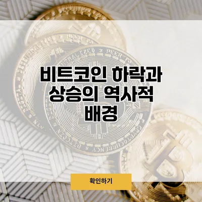 비트코인 하락과 상승의 역사적 배경
