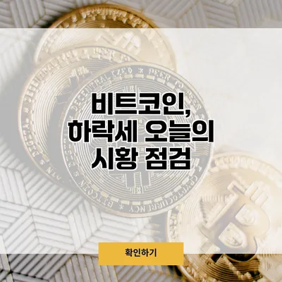 비트코인, 하락세? 오늘의 시황 점검