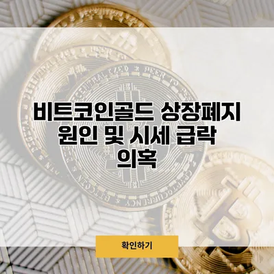 비트코인골드 상장폐지 원인 및 시세 급락 의혹