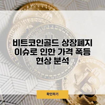 비트코인골드 상장폐지 이슈로 인한 가격 폭등 현상 분석