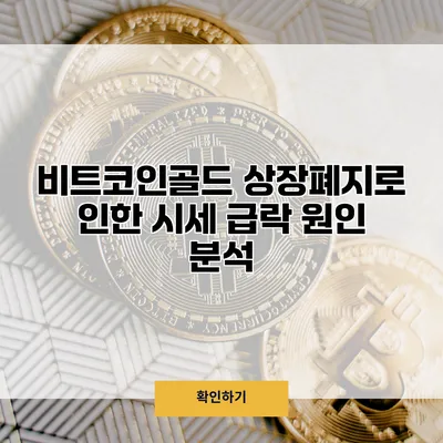 비트코인골드 상장폐지로 인한 시세 급락 원인 분석
