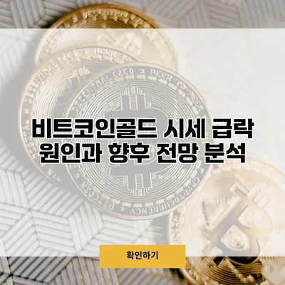 비트코인골드 시세 급락 원인과 향후 전망 분석