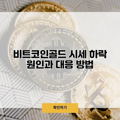 비트코인골드 시세 하락 원인과 대응 방법
