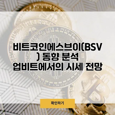 비트코인에스브이(BSV) 동향 분석 업비트에서의 시세 전망