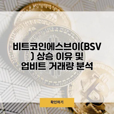 비트코인에스브이(BSV) 상승 이유 및 업비트 거래량 분석