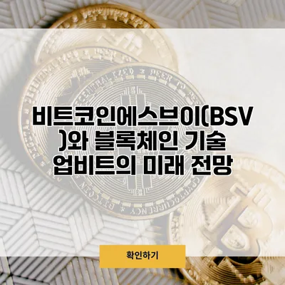 비트코인에스브이(BSV)와 블록체인 기술 업비트의 미래 전망
