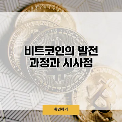 비트코인의 발전 과정과 시사점