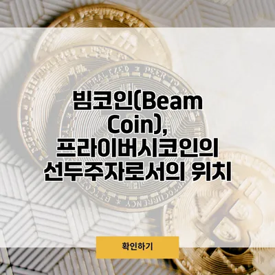 빔코인(Beam Coin), 프라이버시코인의 선두주자로서의 위치