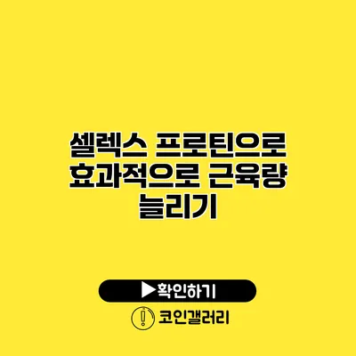 셀렉스 프로틴으로 효과적으로 근육량 늘리기