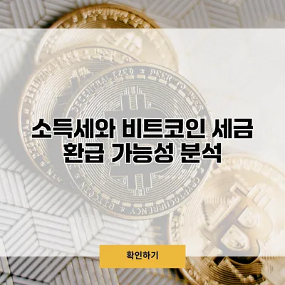 소득세와 비트코인 세금 환급 가능성 분석
